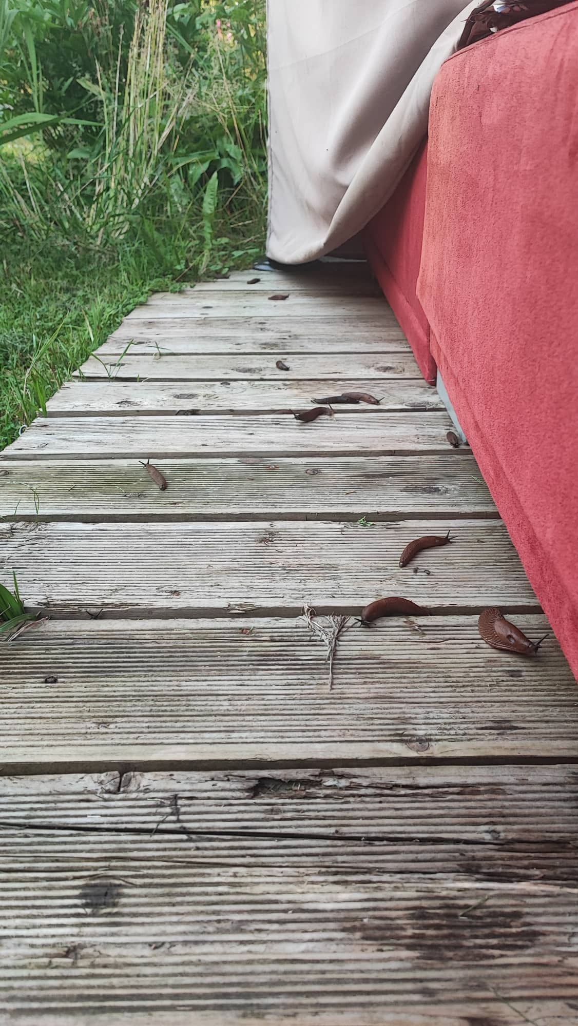 Varam iedomāties, ka tas ir āra stūrītis uz terases ar dīvānu. Tāda būs realitāte, ja neko nedarīsim.