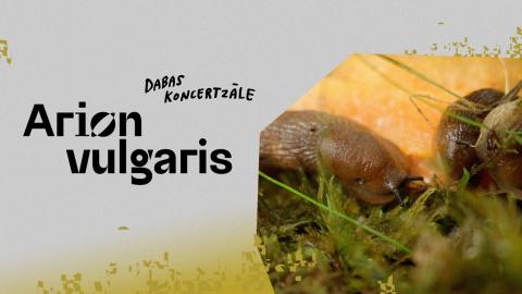 Embedded thumbnail for Darbnīca, Spānijas kailgliemezis, Arion vulgaris