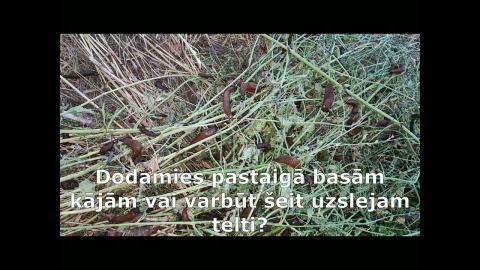 Embedded thumbnail for Kas sagaida, ja neko nedarīsim, Spānijas kailgliemežu ierobežošana.