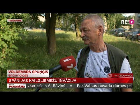 Embedded thumbnail for Intervija ar entomologu Voldemāru Spuņģi par Spānijas kailgliemežu invāziju