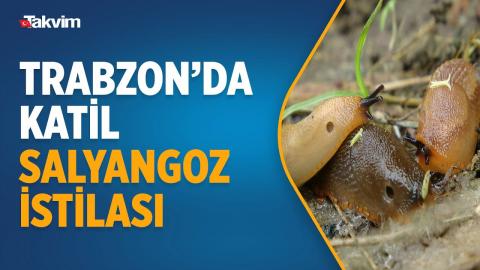 Embedded thumbnail for Gliemezis Slepkava apdraud lauksaimniecības produktus